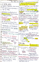 Environment Short Notes for Prelims.pdf